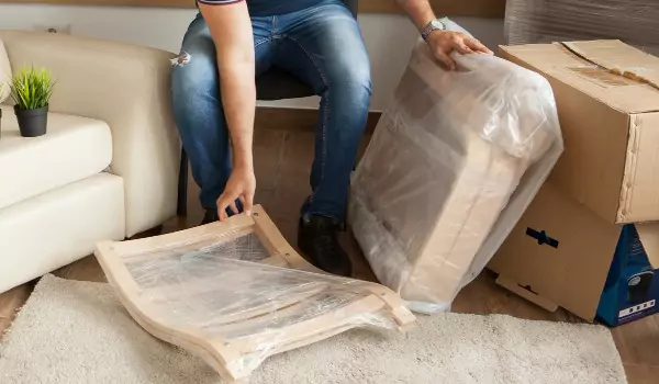 cropped picture of a person with some furniture items